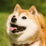 那我帮你痛。