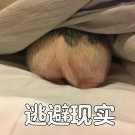 嘉baby❤️主播照片