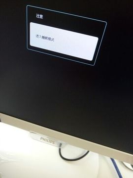 新来的莲子主播照片