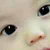 会飞的鱼dak的头像
