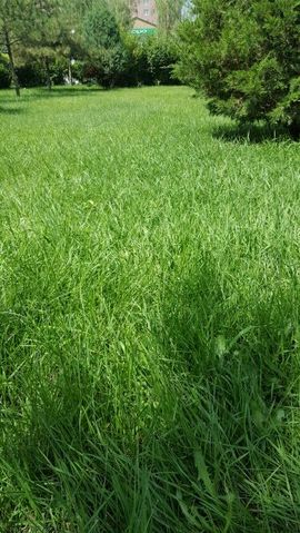 刚子lj1主播照片