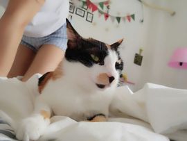 凡音🧡歌手加油主播照片