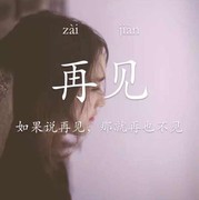 再也不见s
