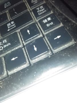 哥的孤单寂寞谁能懂主播照片