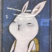 健兔1的头像