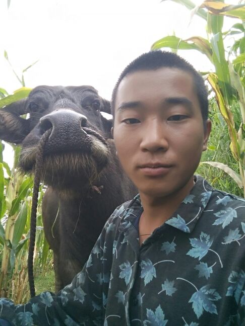 伍神龙保平安的主播照片