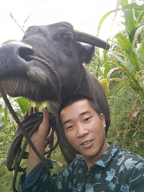 伍神龙保平安的主播照片
