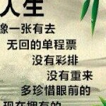 中国人ZJB海报