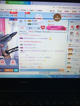 丹从心开始求老板主播照片