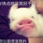哎呀怪兽6