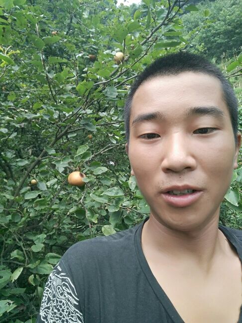 伍神龙保平安的主播照片