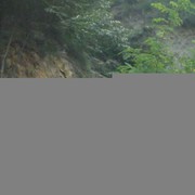 冰封王座7oy海报