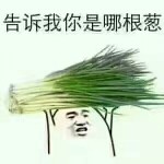 ～哎呀哎呀～