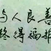 小信q6