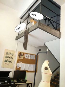 辛束啊主播照片