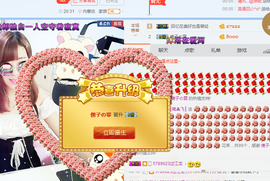 一只雁~主播照片