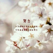 董红4