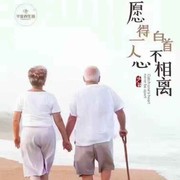 蔷薇岛的海与少年g的头像
