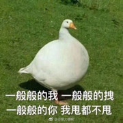 乐淘淘...