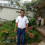 真爱一生，单身海报
