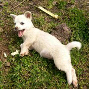 伤离璨的主播照片