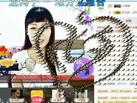 XT夏天暂停播主播照片