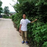 明天会更好52r