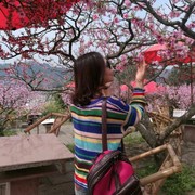 小成姐海报