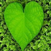 瑞守戶你一輩ふ9的頭像