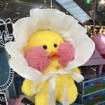 酒酿樱桃