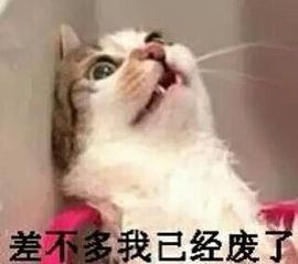 梦媛回归主播照片