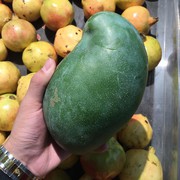 一只小花猫0