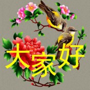 飞翔1nx