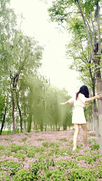 伊家楠楠的主播照片