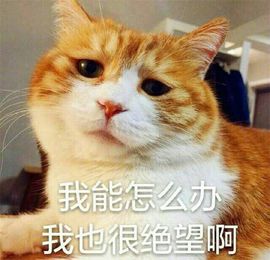 辛束啊主播照片