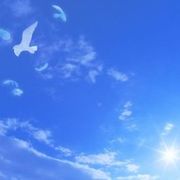 々往事グ随风ゾ海报