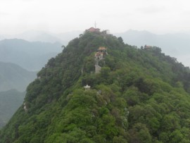 野鹤w主播照片