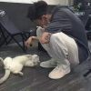 温柔意中人_