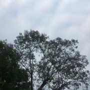 冷淡呀