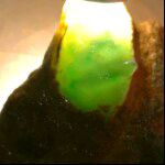 上官ie0主播照片