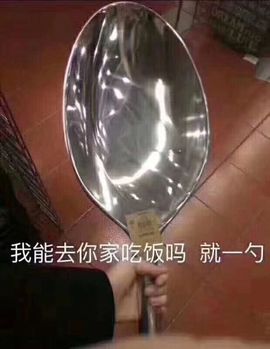 茶韵🍃主播照片