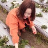 昵称违规，请重新修改