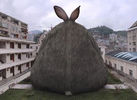 炸毛兔🐰主播照片