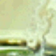 放羊的星星4g