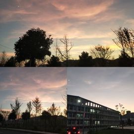 小梦梦19131主播照片