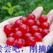 厚德载物cy4海报