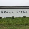 一生痴绝处