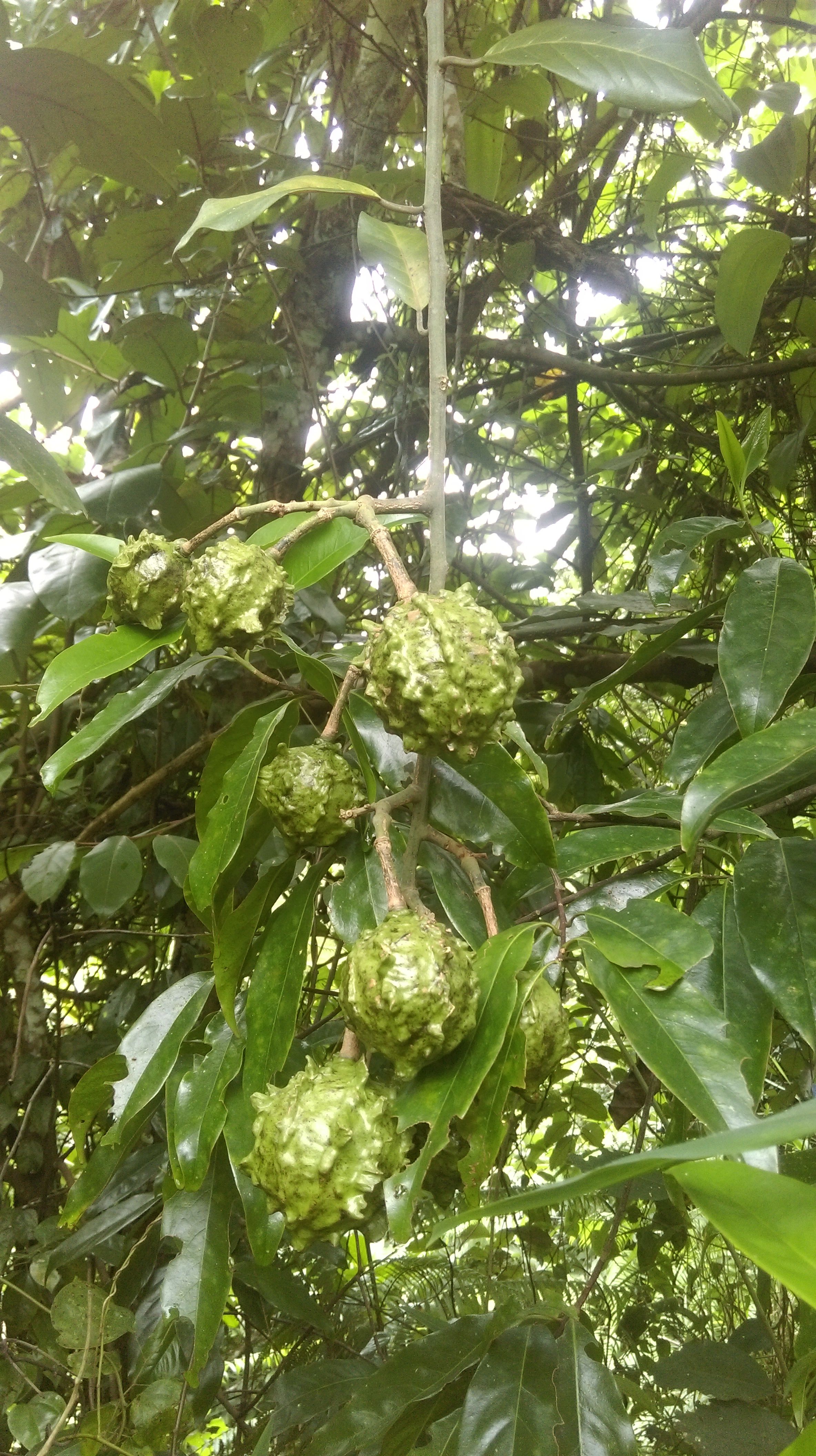 &非专业的主播照片