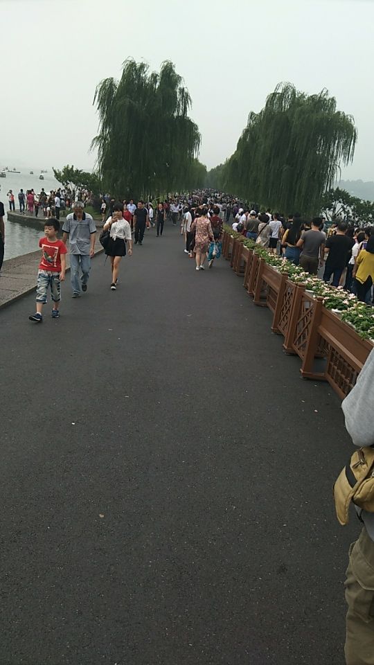 ??哎呀??的主播照片