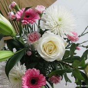 鸟语花香$1海报